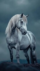Fototapeta premium Silver-maned Percheron horse, stormy blue-gray background, bold contrast.