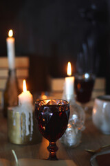 Books, lit candles, red wine, snacks and various deocration on the table. Dark academia or...