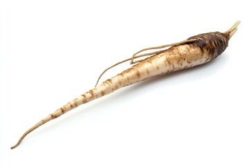 a salsify, isolated on white background