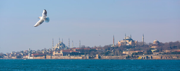 Aerial views of the Blue Mosque or Blue Mosque and Hagia Sophia in Sultanahmet against the blue sky in Sultanahmet district of Turkey