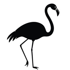 flamingo silhouette isolated on white