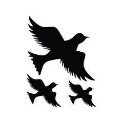 bird fly icon vector design silhouette template