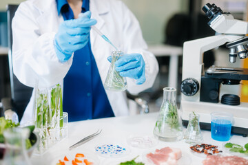 Fototapeta premium Food science as lab scientists test and analyze vegetables for safety and quality using advanced technology