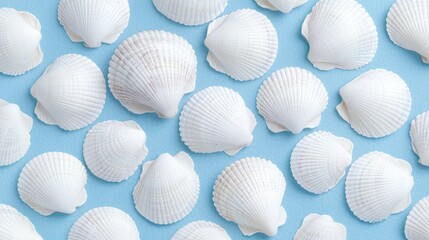 White seashells pattern on blue background; summer, beach, ocean, vacation