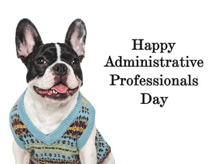 Happy Administrative Professionals Day. Lovable puppy and congratulatory inscription. Closeup,...