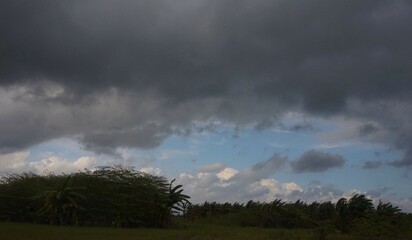 sky view in the garden with black clouds, cloudy indicates it will rain