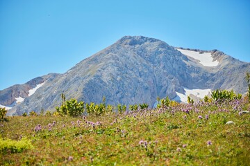 The Caucasian Biosphere Reserve. The high mountain of Oshten