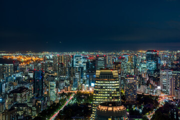 Tokyo cityscape at magic hour.