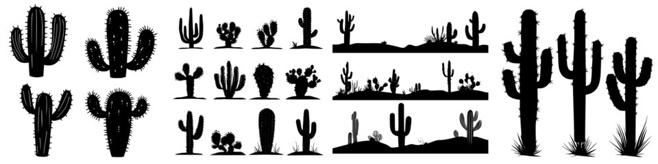 Unique silhouettes of cacti found in desert landscapes during sunset in southwestern United States © Andrei
