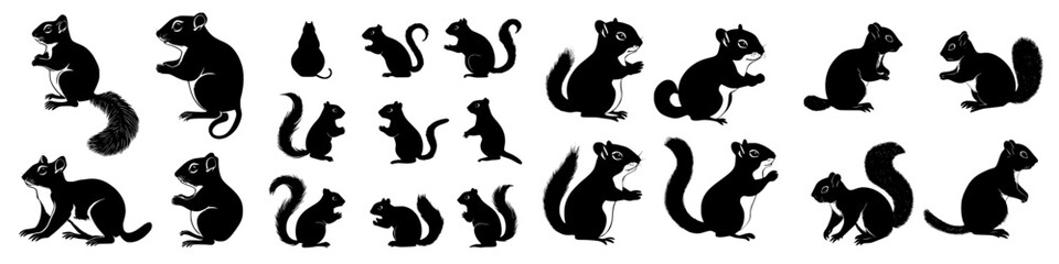 Various silhouettes of squirrels in playful poses on a white background showcasing their diverse shapes and expressions