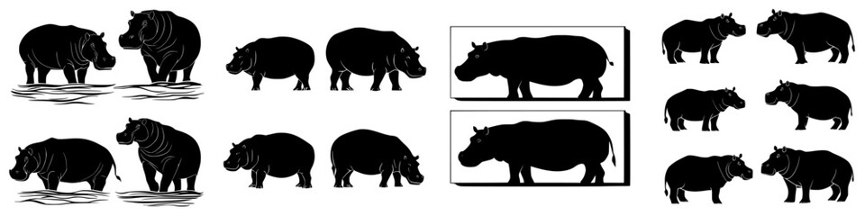 Illustrations of hippos in various poses and arrangements, showcasing their unique characteristics and behavior in a simplified style