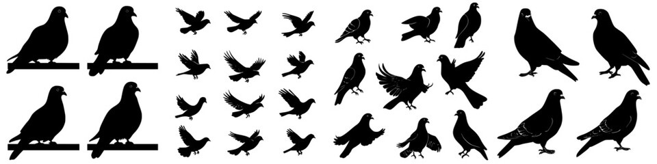 Obraz premium Various silhouettes of birds captured in flight and perched, showcasing diverse species and wing positions