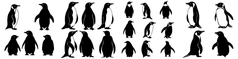 Collection of various penguin silhouettes displayed in black and white with differing poses and sizes