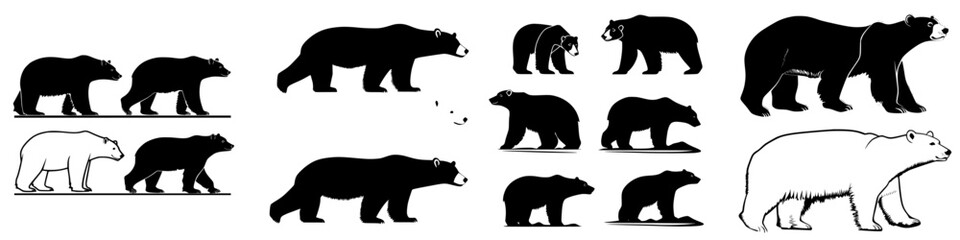 Various bear silhouettes showcasing different sizes and postures in natural settings