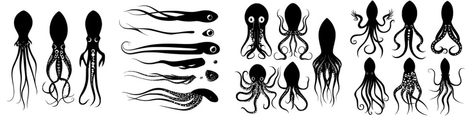 Various octopus illustrations showcasing different species and stages of development in a black and white aesthetic