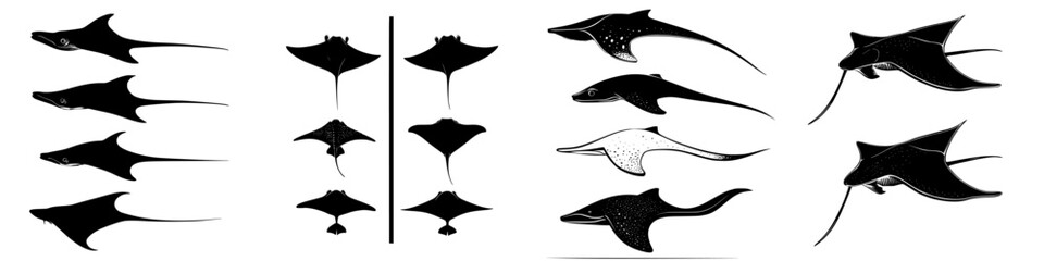 Various species of rays swimming gracefully in ocean waters during daylight hours