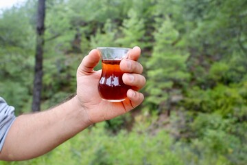 Tea bread tree. High quality photo