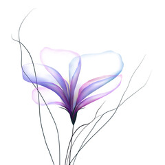 Obraz premium Flowers leaves background illustration art watercolor print art 
