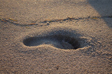 Human footprint in he sand on the beach