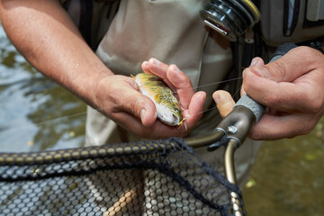 pesca y cebos de pesca