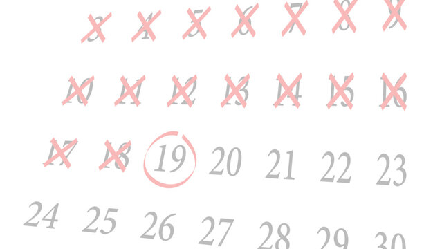 A calendar with crossed-out dates and the 19th circled in red, symbolizing an important event or countdown