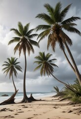 Obraz premium Storm-battered palm trees leaning against each other, storm-battered palms, swaying fronds