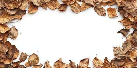 Dried brown leaves frame a white background space