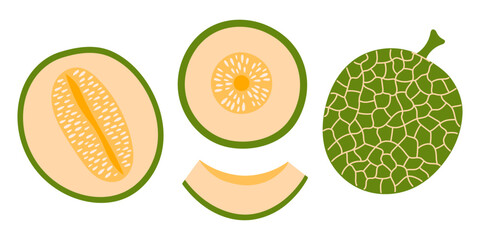 Cantaloupe melon set. Ripe fruit pieces, halved slices, whole melon, seed. Collection of organic vitamins and healthy nutrition. Flat Vector illustration isolated on white background