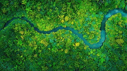 Aerial view of a winding river flowing through a lush green tropical rainforest. Vivid green foliage and a dark blue river are visible.