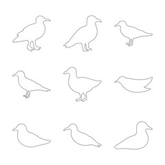 Seagull Bird Outline Icon Set