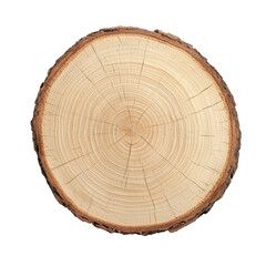 Fototapeta premium Natural wood slice on white isolated background.