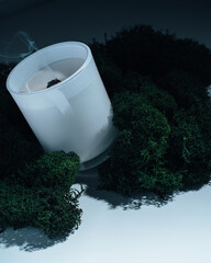 White wax candle in a glass candlestick with a faded wick on a white background surrounded by moss, symbolizing its aroma