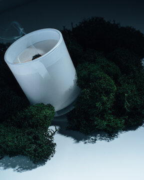 White wax candle in a glass candlestick with a faded wick on a white background surrounded by moss, symbolizing its aroma