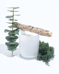 Aromatic candle in a white glass glass with a wooden wick, on a white background, nearby moss, wood and eucalyptus symbolizing the aroma of a candle.