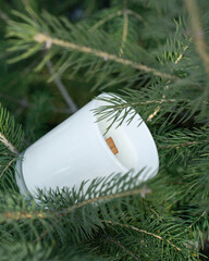 White candle with a wooden wick in a white candlestick made of matte glass against a background of spruce branches, symbolizing the aroma of a candle
