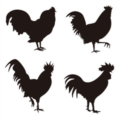Collection of vector silhouettes of chickens isolated on white background. Collection of Different Rooster, Cock Poses. Perfect symbol for your web site design, logo, app, UI. Vector illustration, EPS