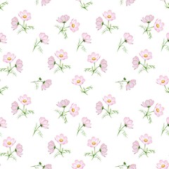 Seamless watercolor pattern with pink cosmos flowers repeating on white background. Plant design for textiles, wallpapers, cards and packaging.