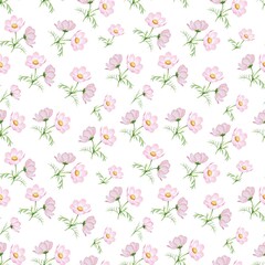 Seamless watercolor pattern with pink cosmos flowers repeating on white background. Plant design for textiles, wallpapers, cards and packaging.