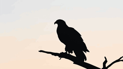 eagle on the branch