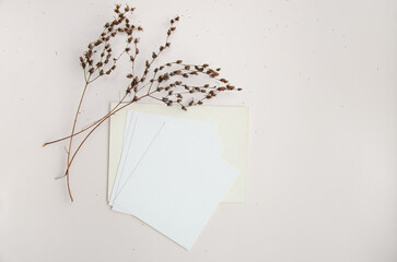 Mockup of blank cards with dried flowers on beige background; invitations sample design