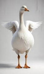 Fototapeta premium Symmetrical white goose with graceful posture on white background, beautiful plumage, goose farm