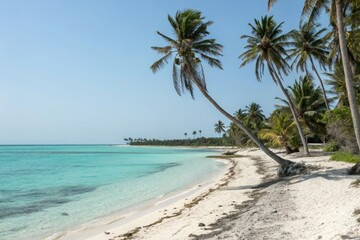 Obraz premium Tranquil palm-lined beach with crystal-clear turquoise waters, waves, beach