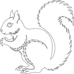 Squirrel Icon.simple flat squirrel icon silhouette vector.this is forest wild animal running standing and jumping vector squirrel.Vector squirrel silhouette view side for retro logo.