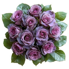 Purple Roses Bouquet Isolated on White Background