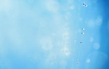 macrophotography of a spider web with water droplets and a defocused light blue background. a place to copy.