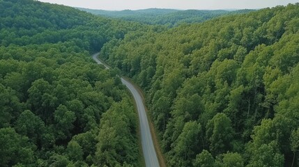 Aerial view of a winding road through a lush forest, featuring a train alongside, showcasing the blend of nature and transportation.