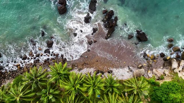 aerial view of beach with coconut trees and big rocks
