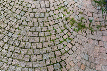 Road paved with small square natural stone slabs with moss