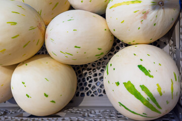 White spotted melons in plastic container in fruit-vegetable market