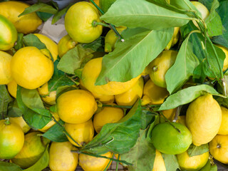 Freshly harvested organic lemons in container in vegetable-fruit market